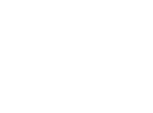 Net Results Consults